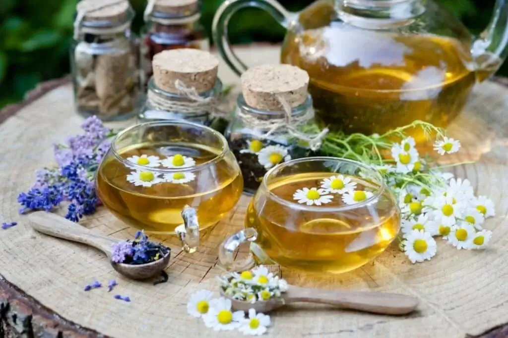 Receitas de Chás de Inverno